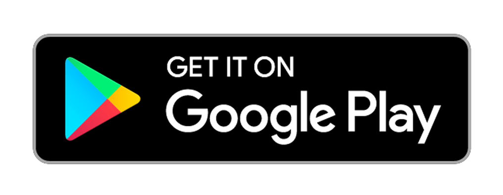 Play Store Icon